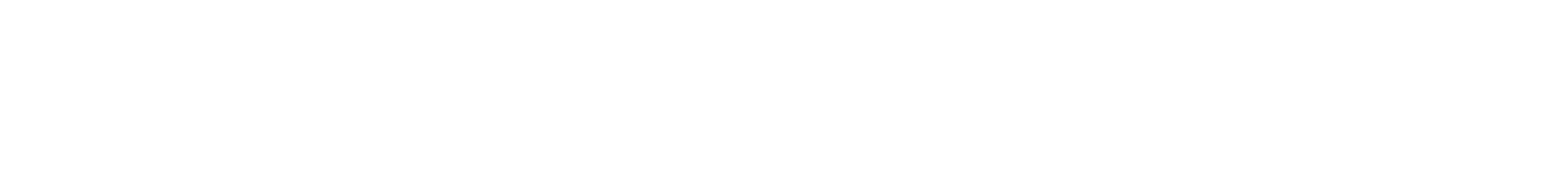 Citadel